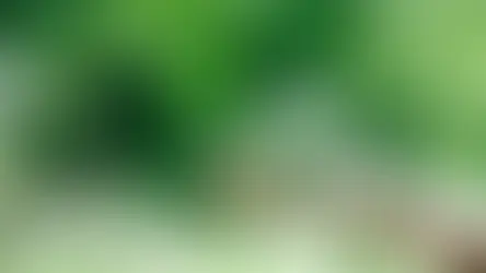 Economía circular: cómo reducir pérdidas y aumentar la rentabilidad en tu empresa