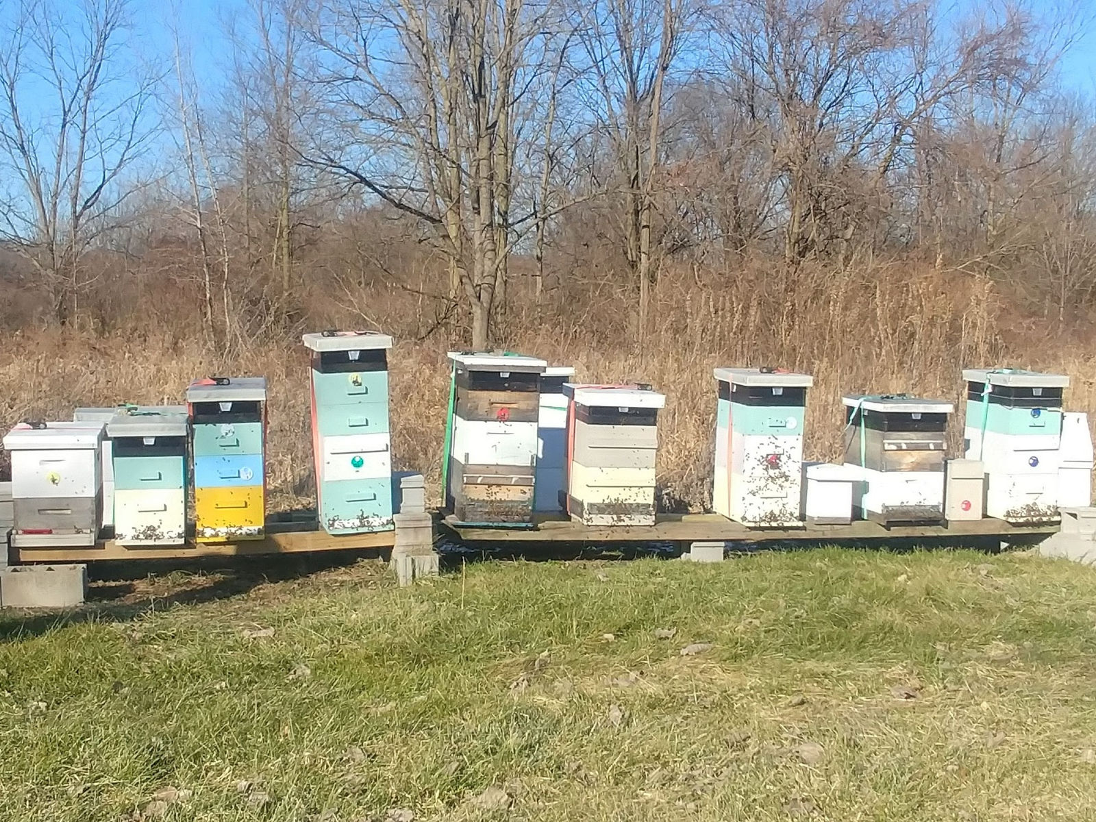Filler Family Apiary