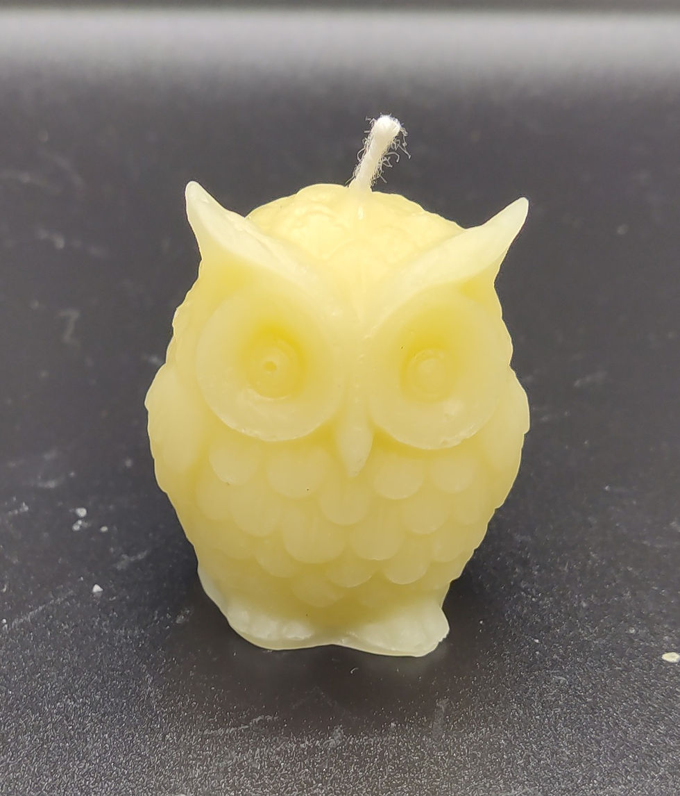 Thumbnail: Owl - Small Beeswax Candle