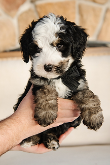 Screenshot 2025-11-24 at 12.52.44 PM.png