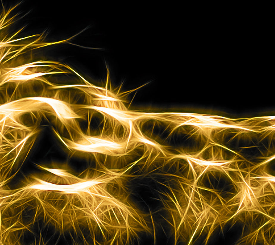 Miniatura: Leão -Belíssima e exclusiva imagem digital