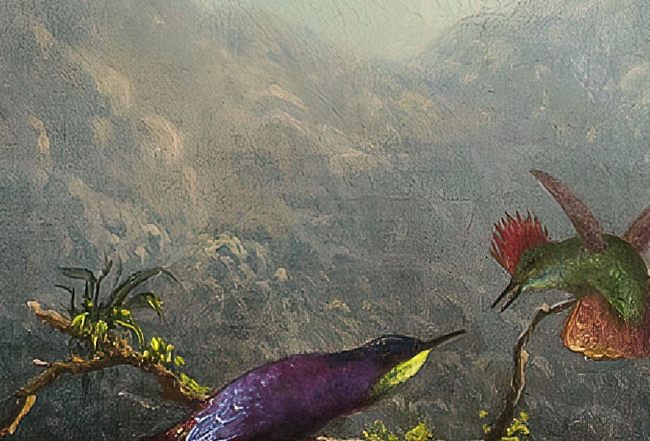 Miniatura: Beija-flor na floresta do Brasil Belíssima pintura de  1863