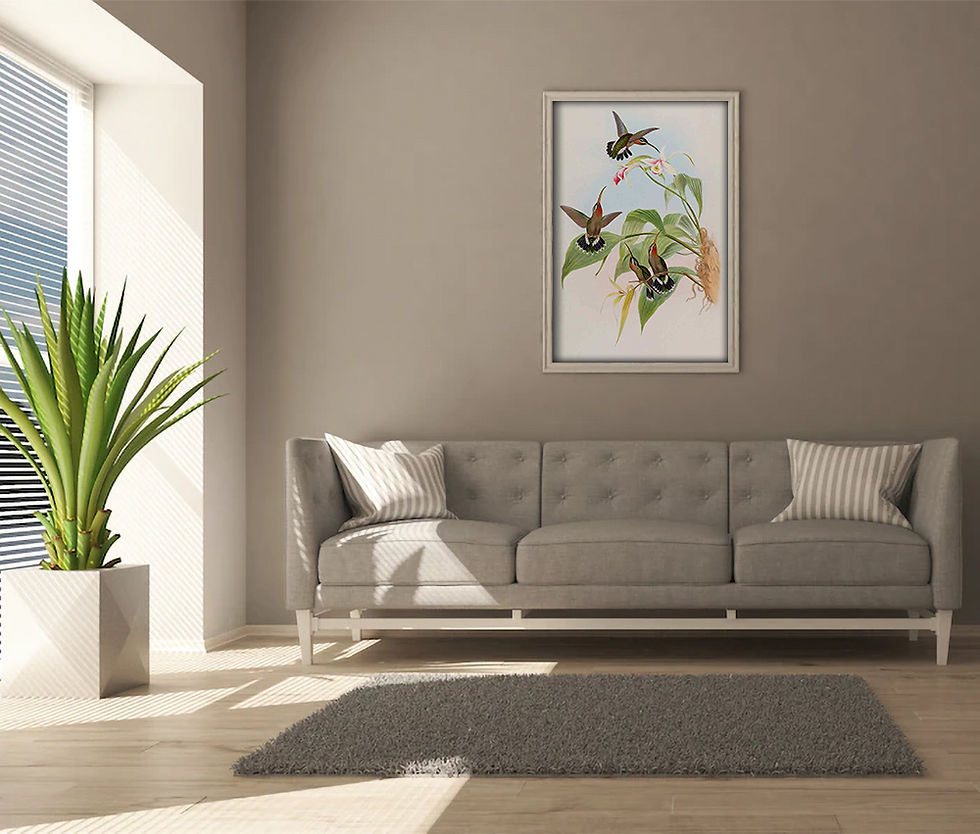 Miniatura: Beija-flor - Colibris e orquídea - Pintura de 1849