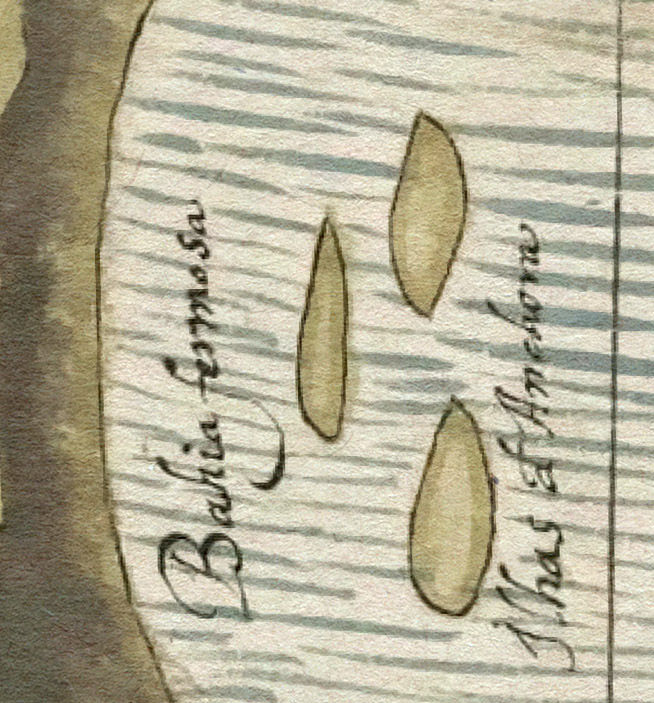 Miniatura: Capitania de Rio de Janeiro - Raríssimo mapa desenhado à mão dos anos 1500