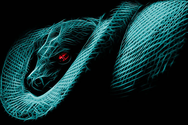 Cobra - Belíssima e exclusiva imagem digital com variantes cor