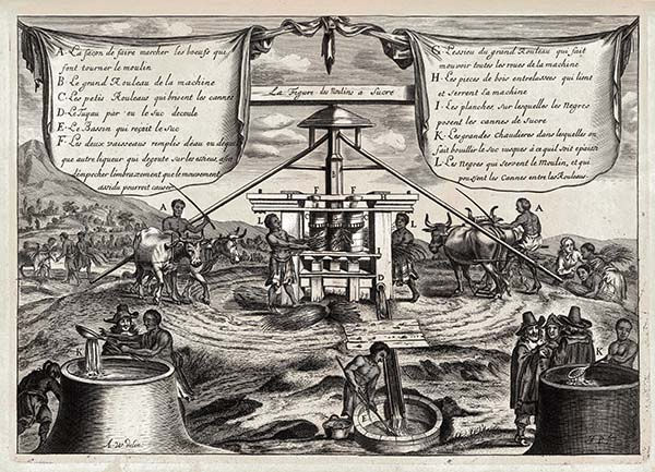 Gravura de engenho com legenda datada de 1665