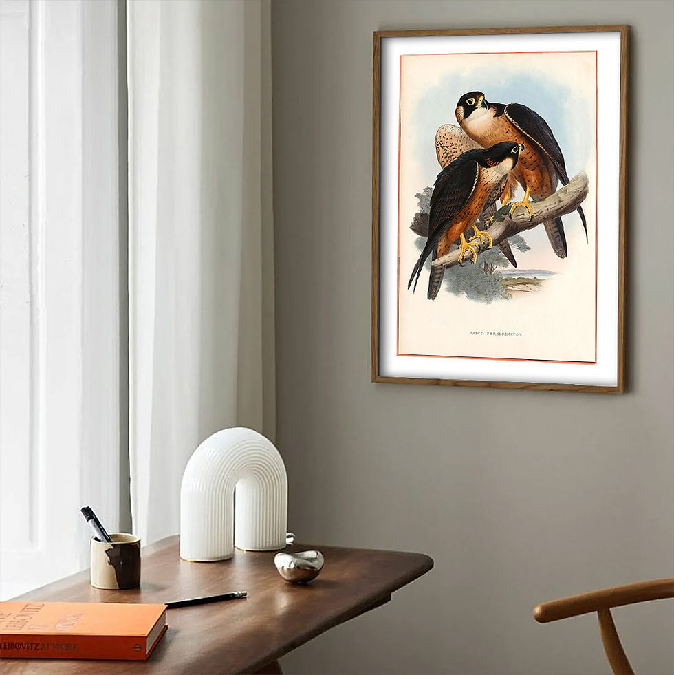 Miniatura: Falcão Peregrino, belíssima e exclusiva pintura de casal datada de 1850