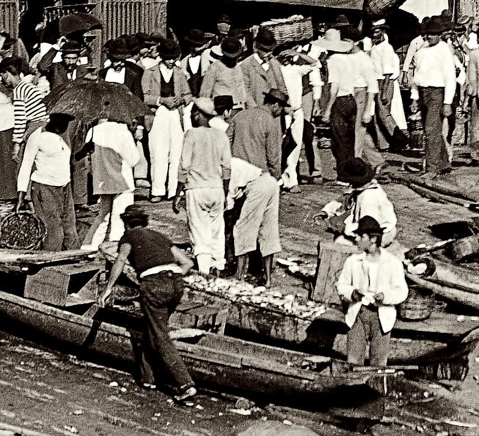 Miniatura: Fotografia do Mercado do peixe no Rio de Janeiro datada de 1880