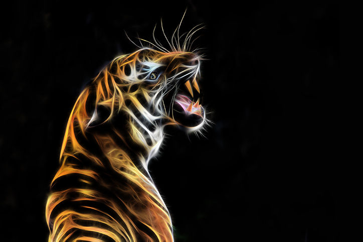 Tigre Belíssima e exclusiva imagem digital