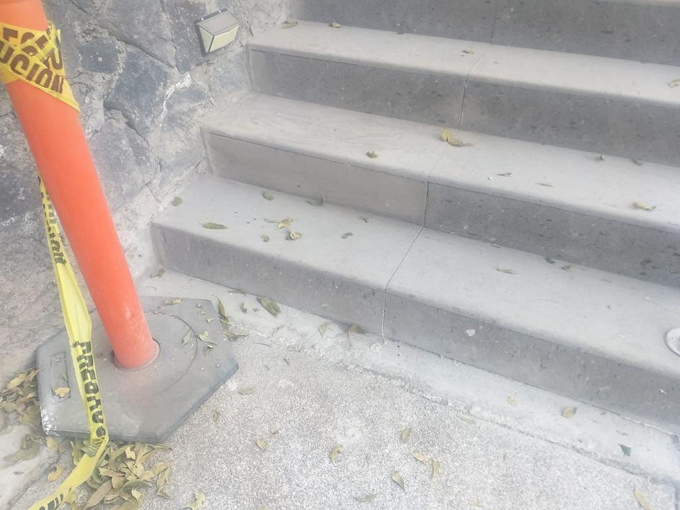 Escalera Ext