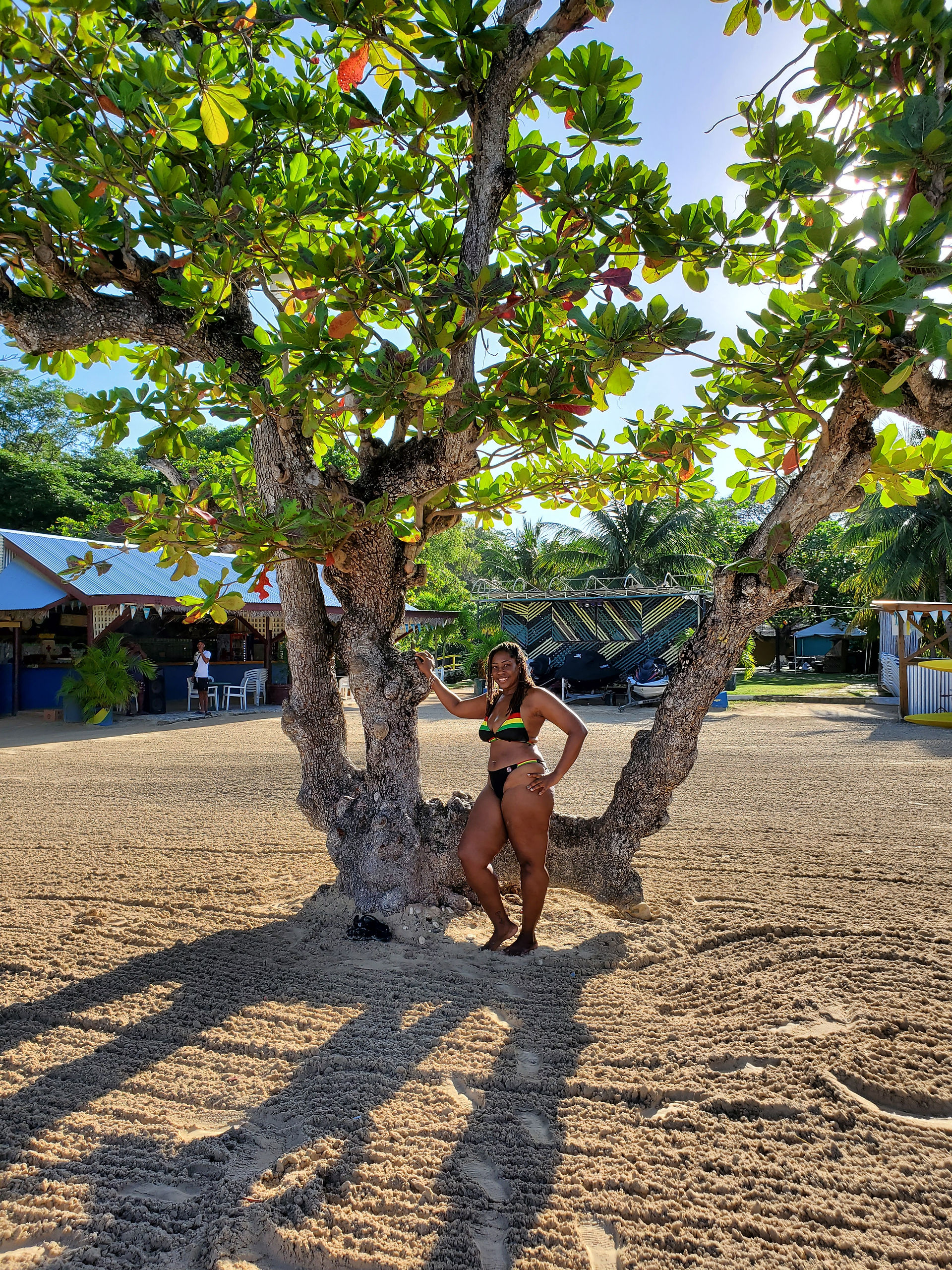 I will always find a tree :-)
