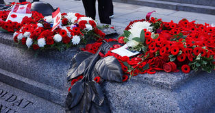 Remembrance Day Project