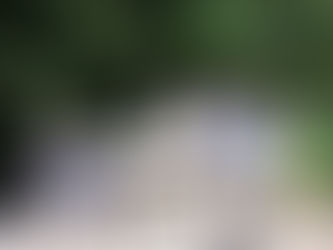 Knaresborough Lions and Virgin Media O2 work together to fight loneliness