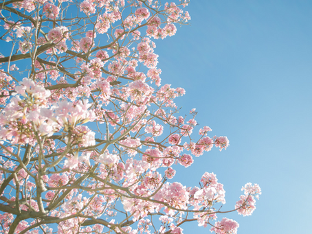🧹Nettoyer, balayer, astiquer... Notre Yoga n'aurait-il pas un petit air de ménage de Printemps ?