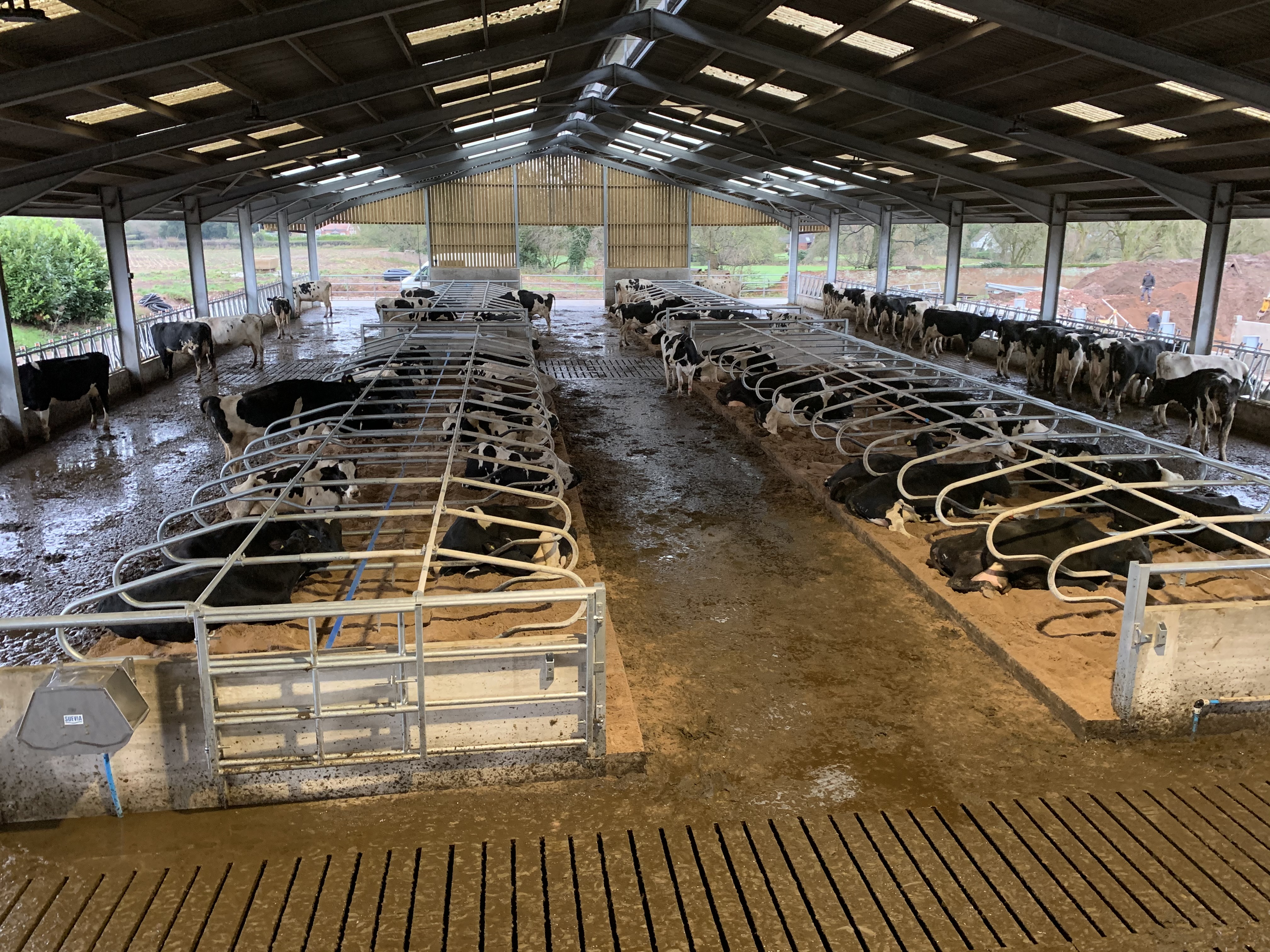 Sand bedded cubicle unit with C50 cubicl