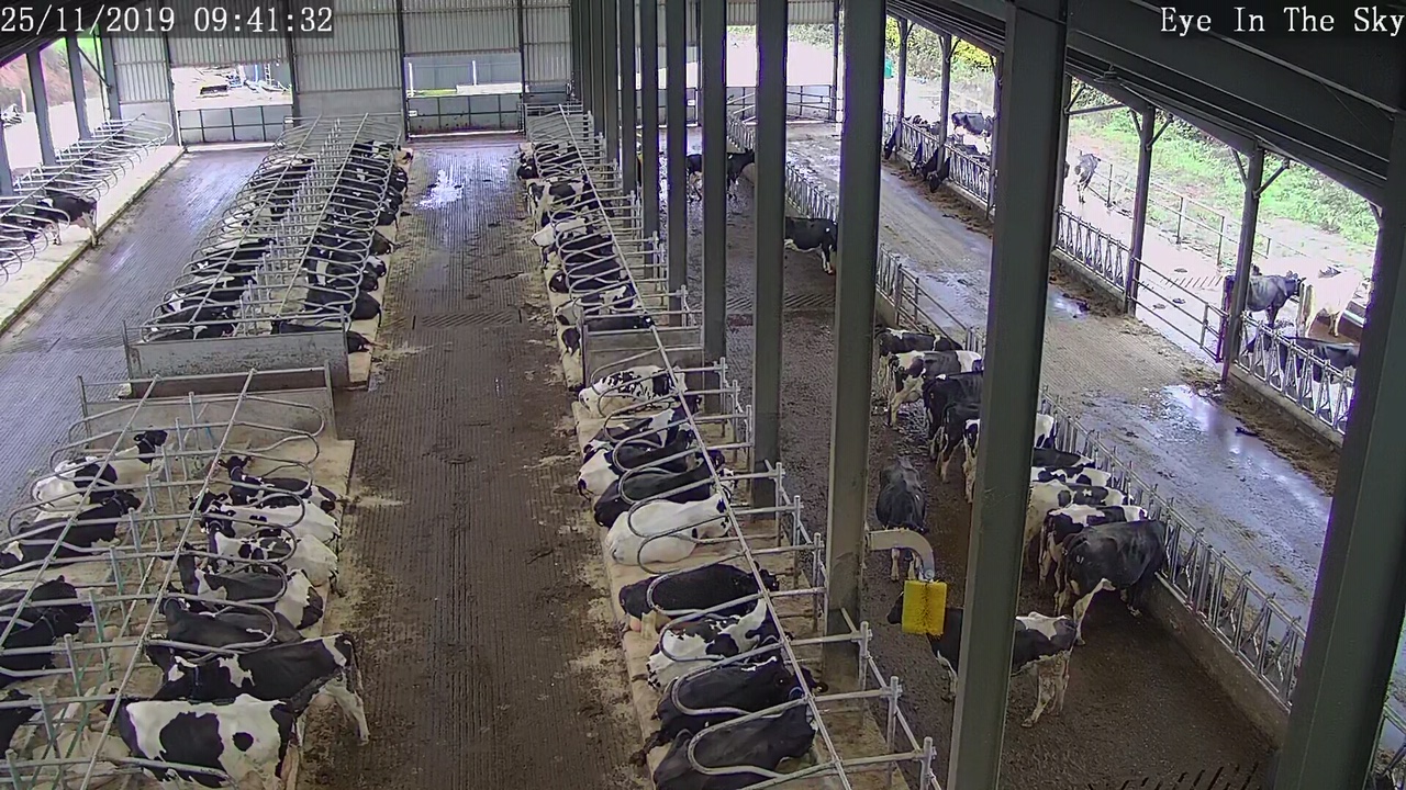 Grey - camera view over cubicles