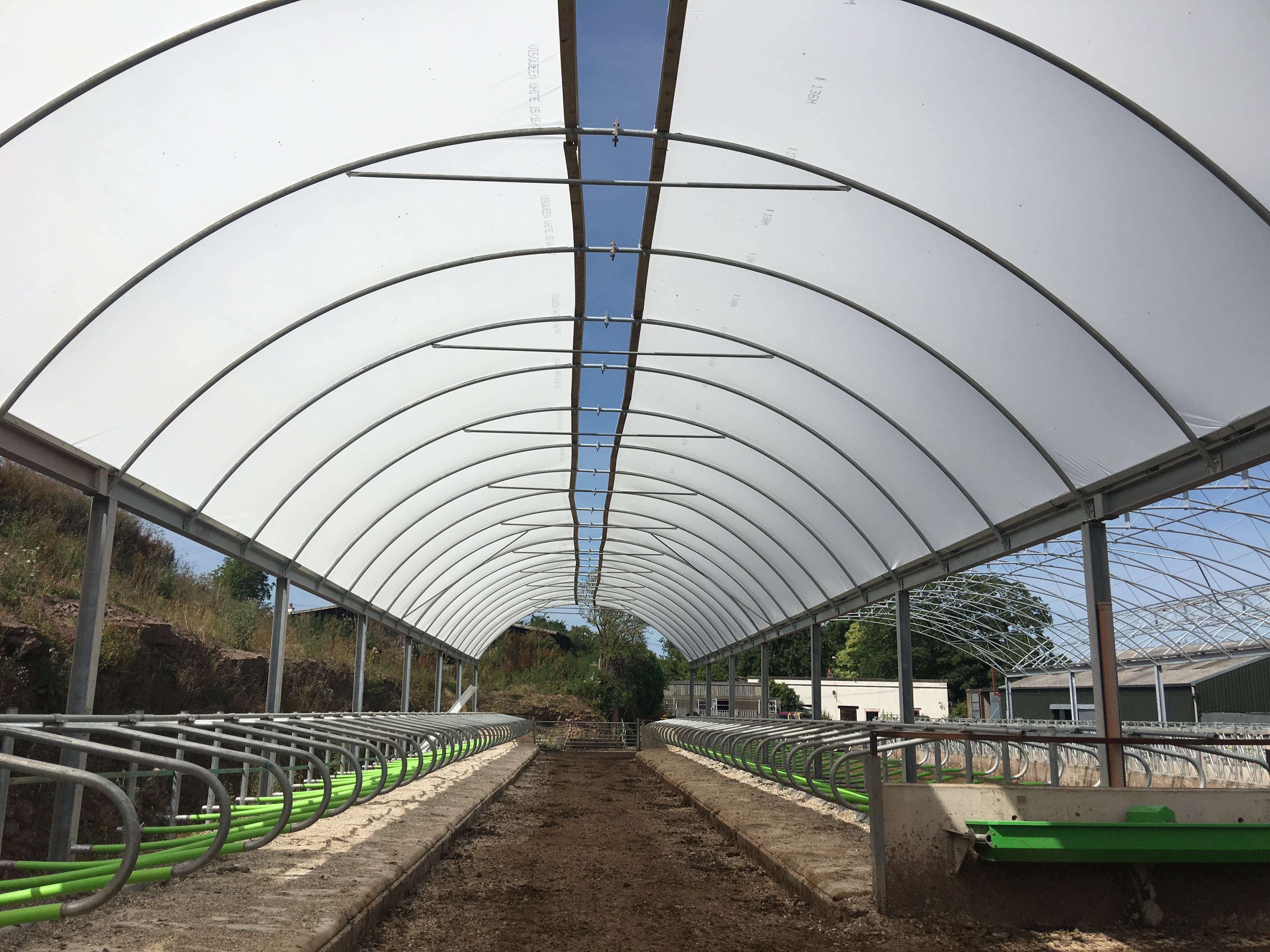 Long - Troy Farm - Poly Tunnel