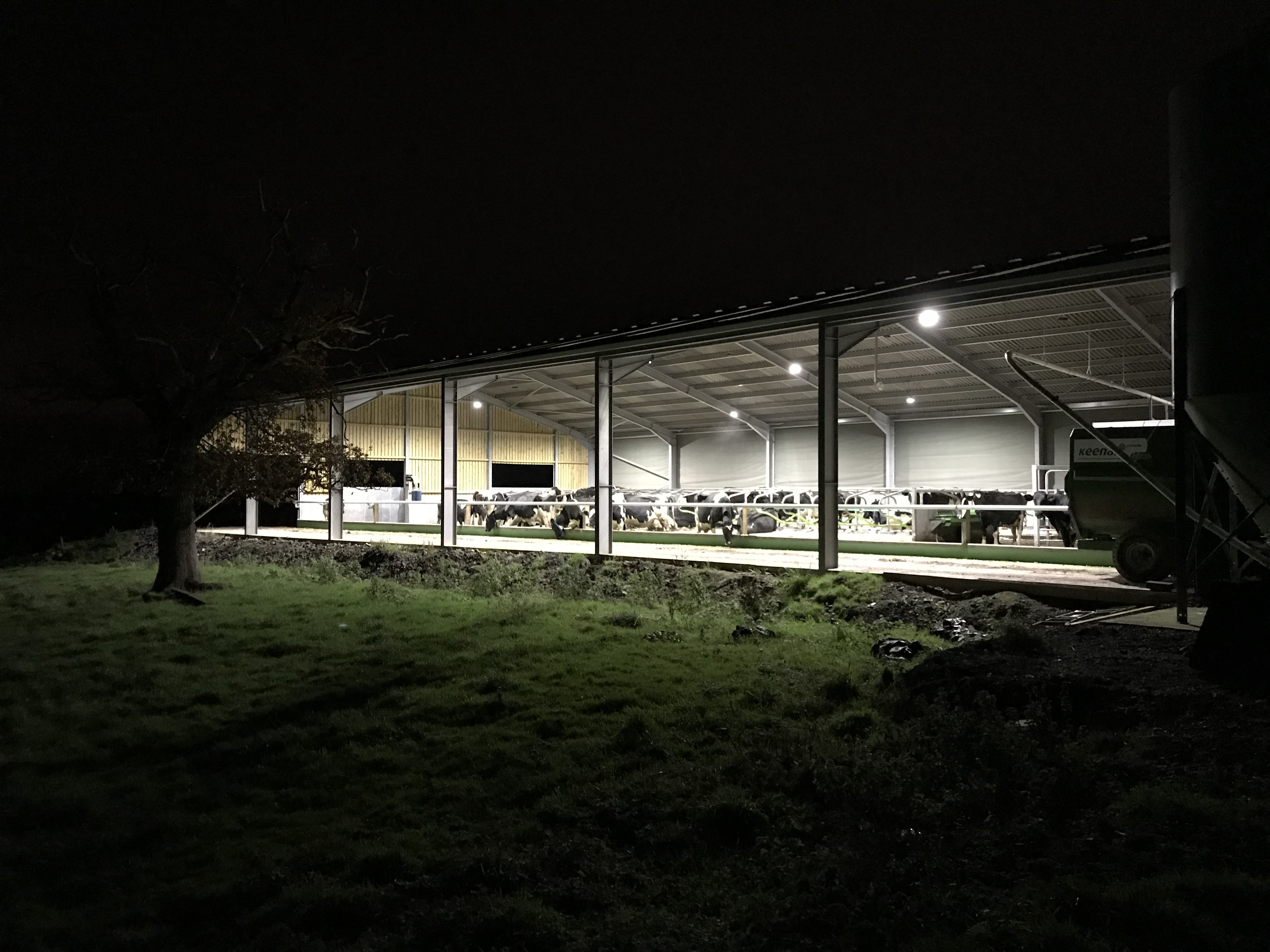 LED cow shed lighting