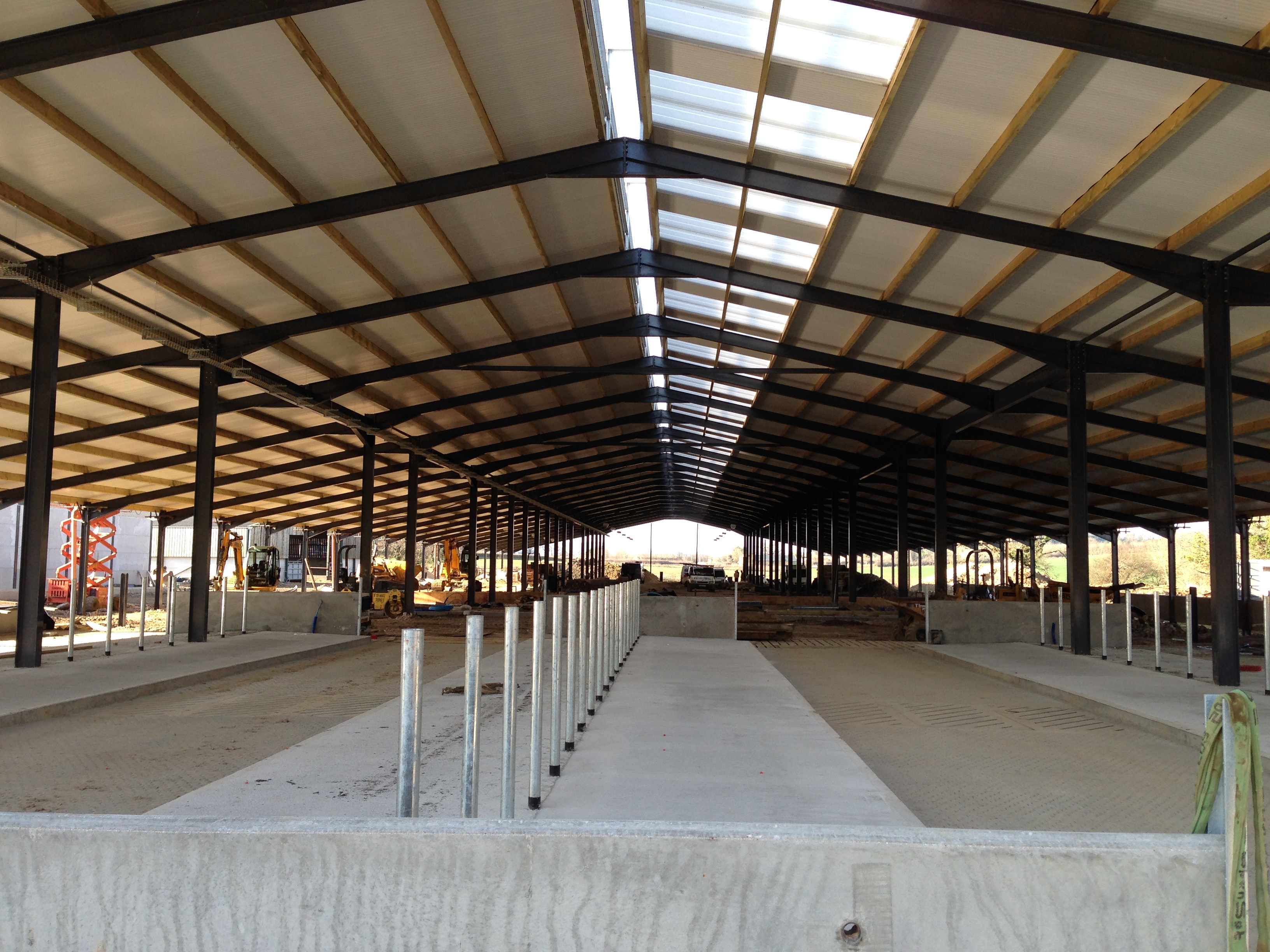 New robotic dairy housing