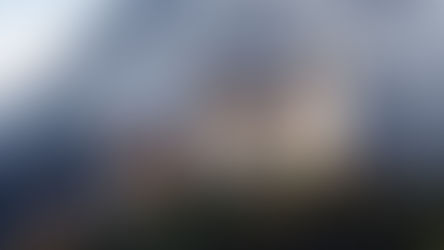 Die liechtensteinische Stiftung als Holding-Spitze