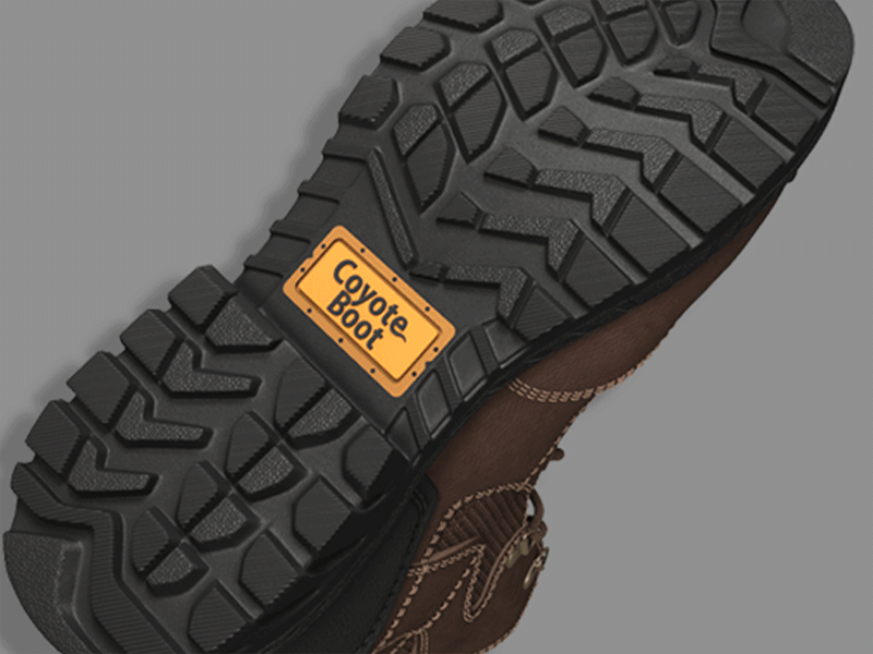 Boot-D_splitimage_sm