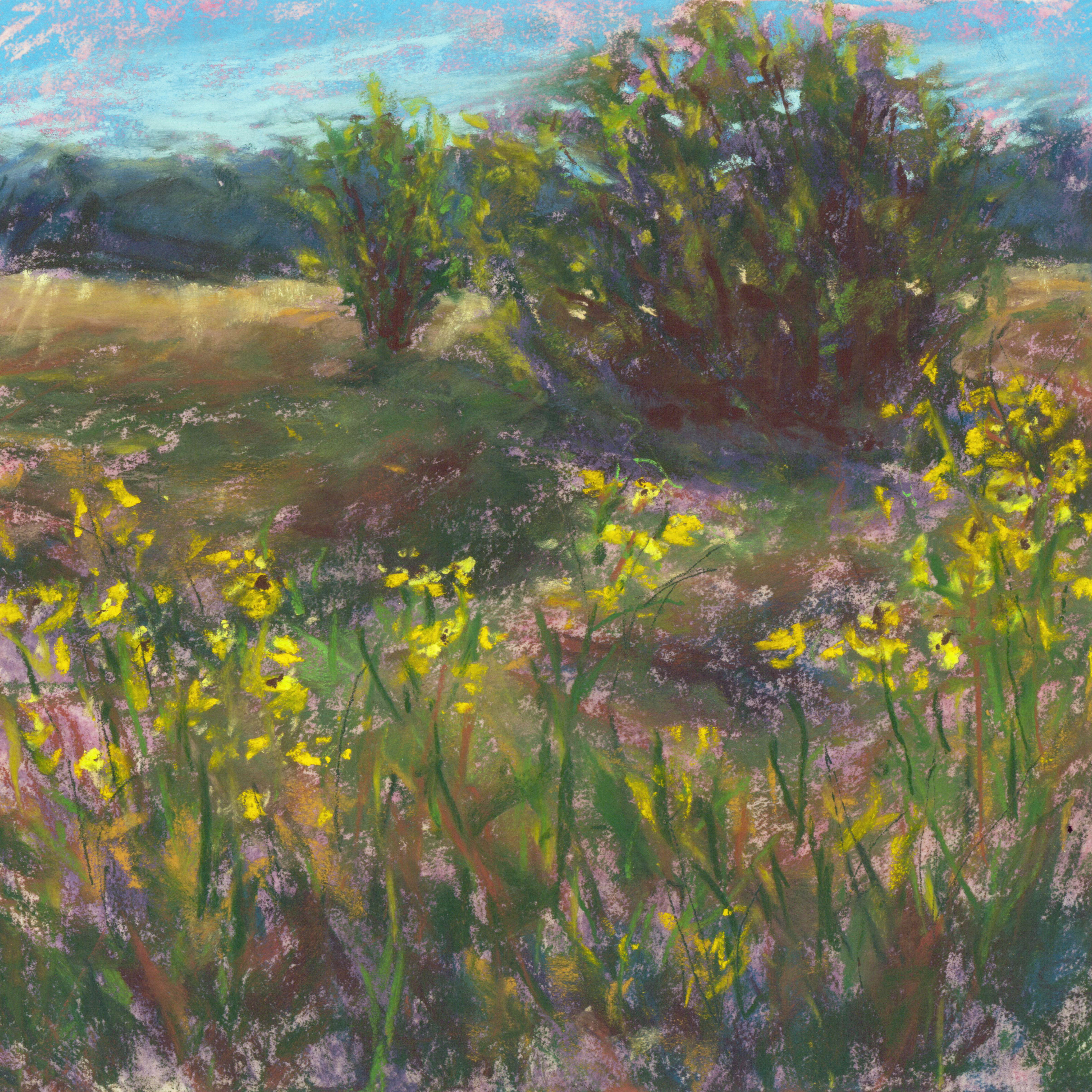 Susans at Eagle Marsh