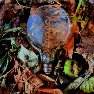 Shining a Light on Sustainability