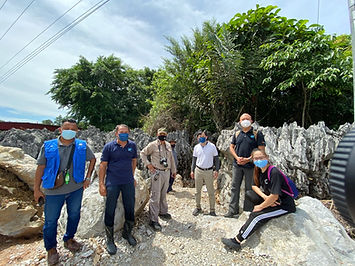 paku rock maze garden 3.jpeg