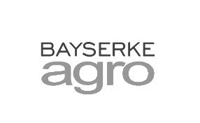 Bayserke-agro-logo