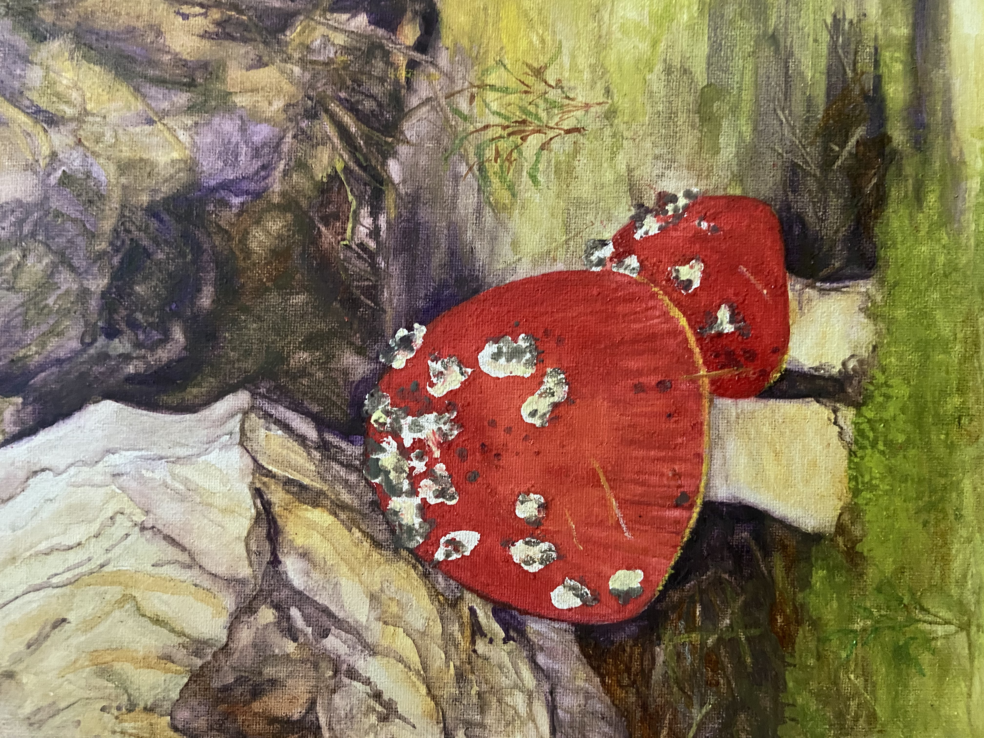Mushroom Fantasy 1