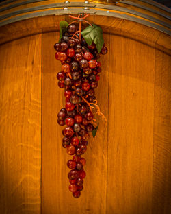 From the Vine to the Cas