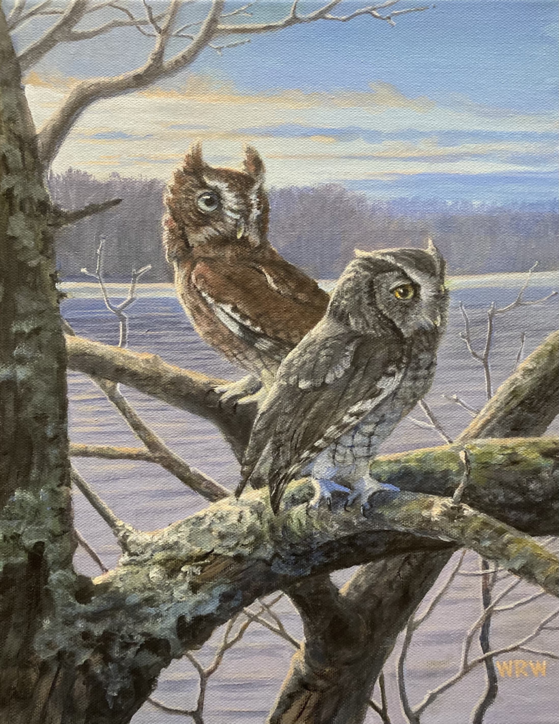 Walsh, William-Screech Owls