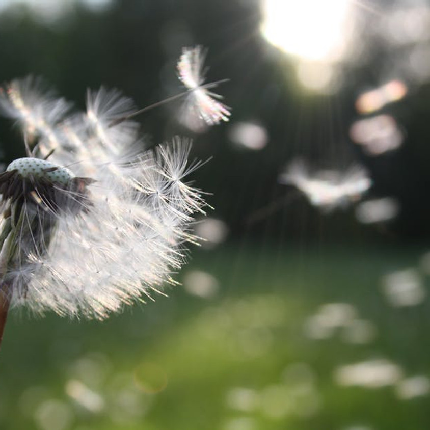 Arrendersi alla morte per imparare a vivere