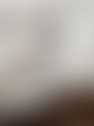 How to Design a Kitchen That’s Both Stylish and Functional