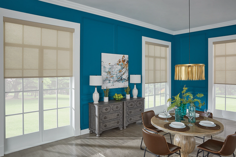 graber-21313-roller-shades-rs20-v1.png