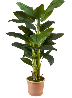 Elevate your event with premium faux plant rentals that bring lush greenery and modern style without the maintenance. Perfect for weddings, corporate events, parties, and photo shoots, our realistic artificial plants add natural texture and elegance to any space. Available in a variety of sizes and styles, our faux plant rentals are a cost-effective, hassle-free way to enhance event décor and create stunning visual impact.