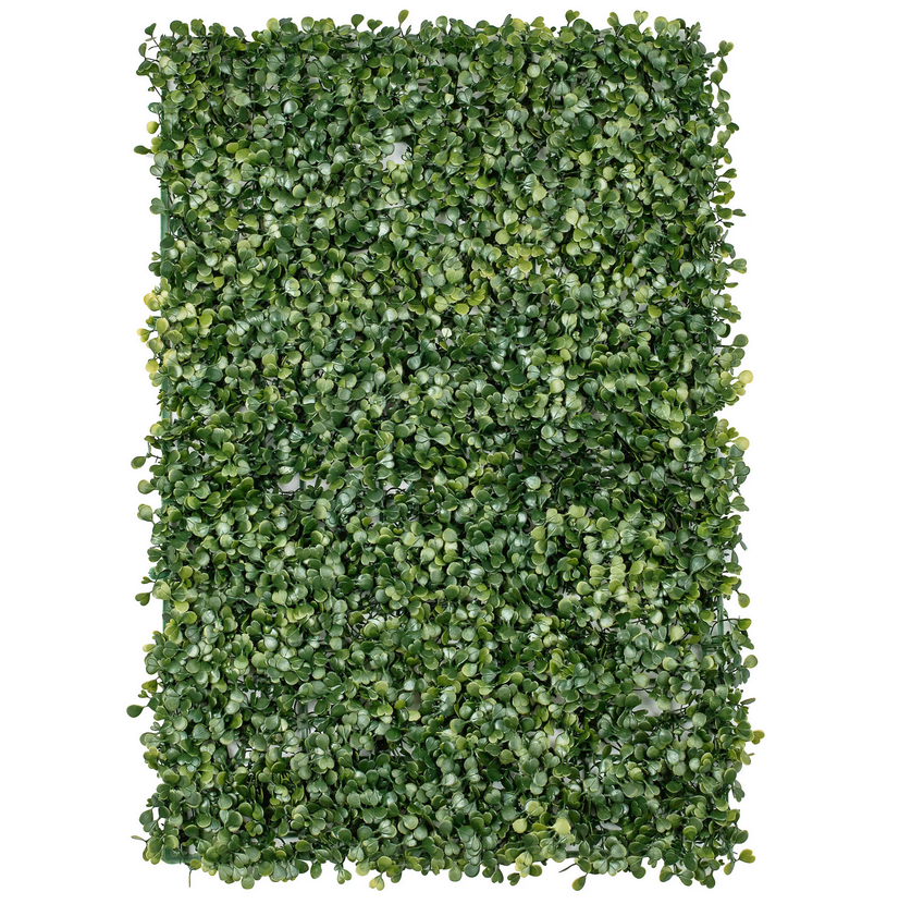 Boxwood backdrop