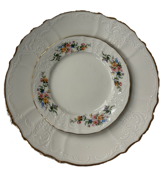 Dinner plates for rent