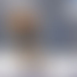 Double Doodle im Schnee, Wintermantel Doodle