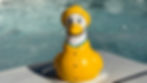 Captain Yellow.jpg
