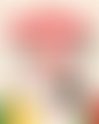 MINISO Gift Guide For Under $20