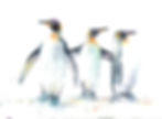 Penguin Brothers
