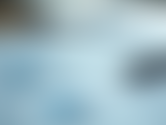 Gestão Fiscal Eficaz: Protegendo Seus Ativos Empresariais