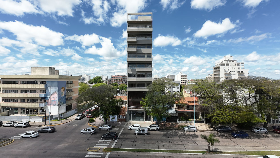 Arq. Eli Ricer - Dptos 3 de Abril (1).jpg