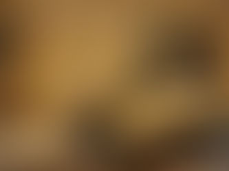 ¿Asado de oro? El video de una carnicería en Comodoro que indignó a todo el país