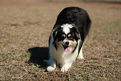 IMG_8371.JPG