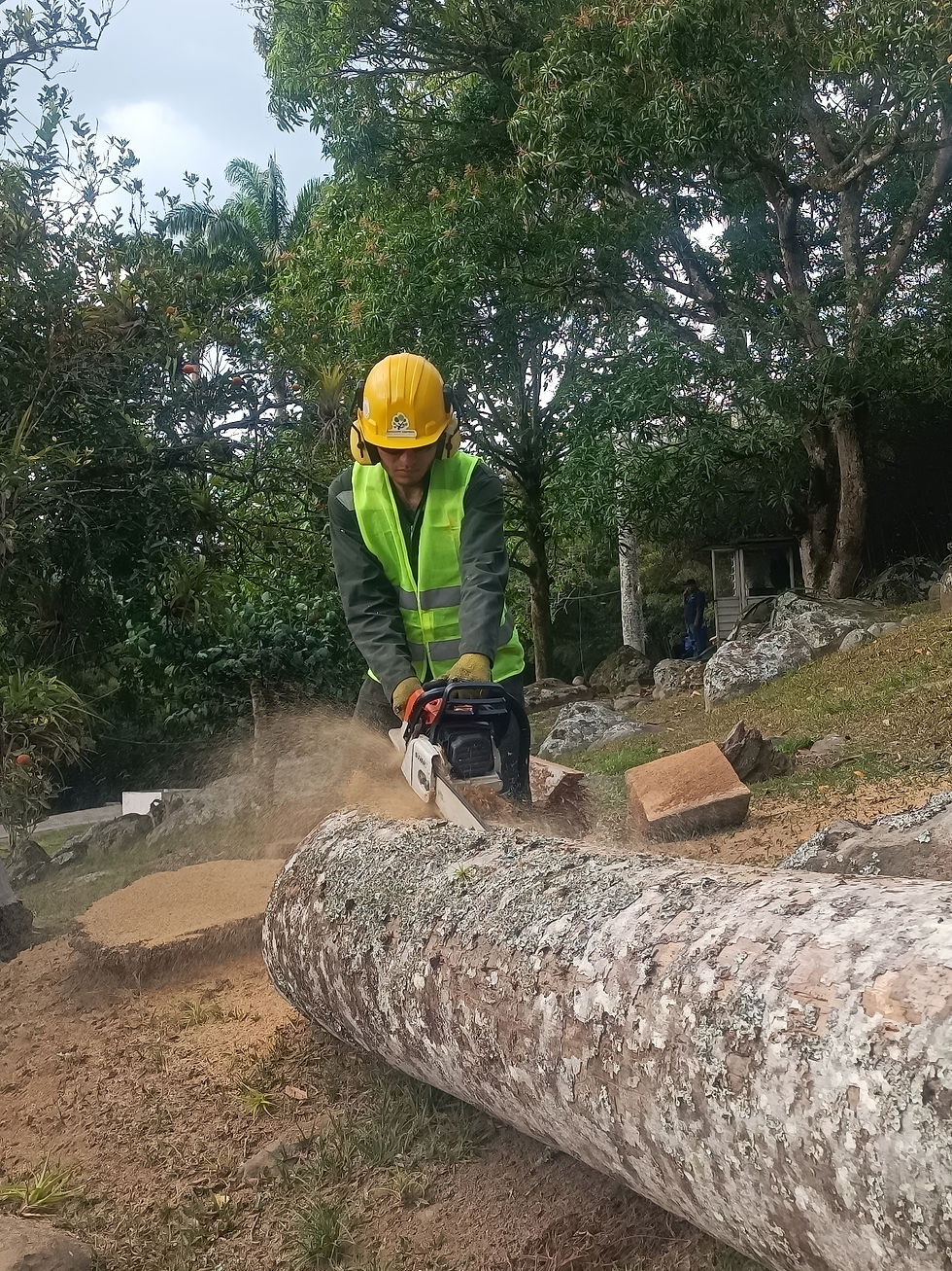 APROVECHAMIENTO FORESTAL