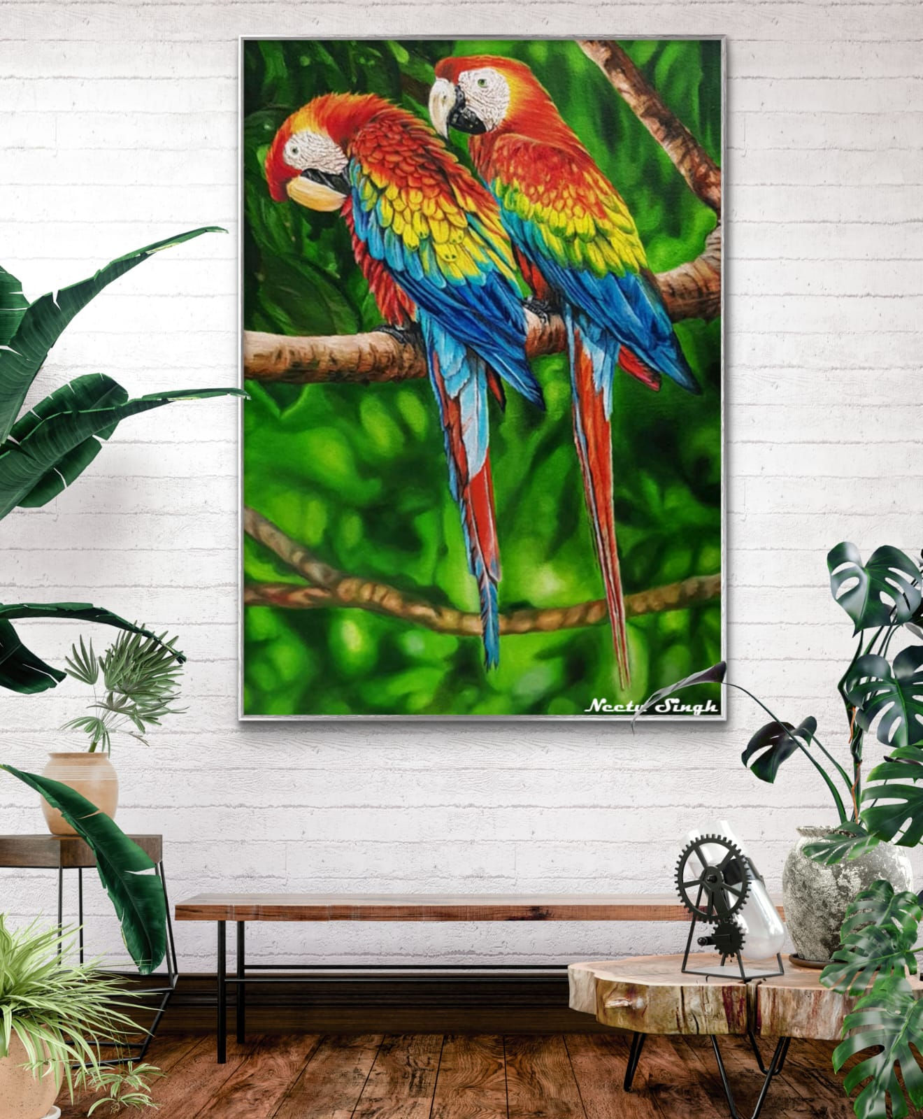 Macaw