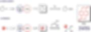 ab-removebg-preview (1).png