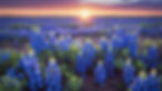 WEBSITE BACKGROUND - BLUEBONNETS.jpg